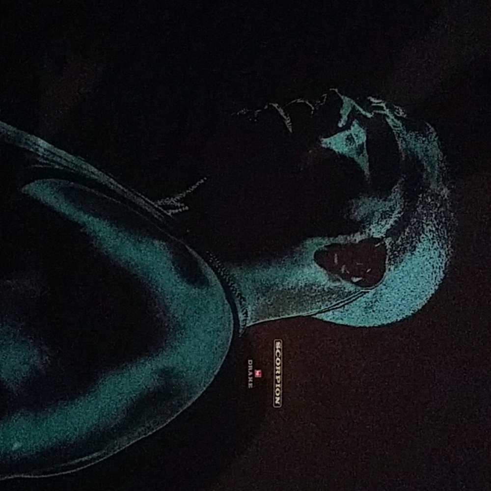 Drake Scorpion concert tee